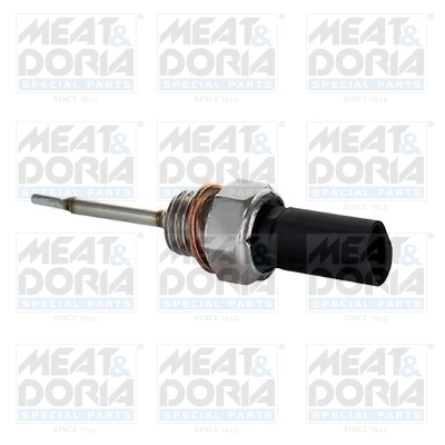 Sensor, intake air temperature